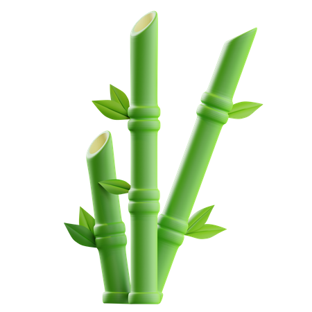 bamboo